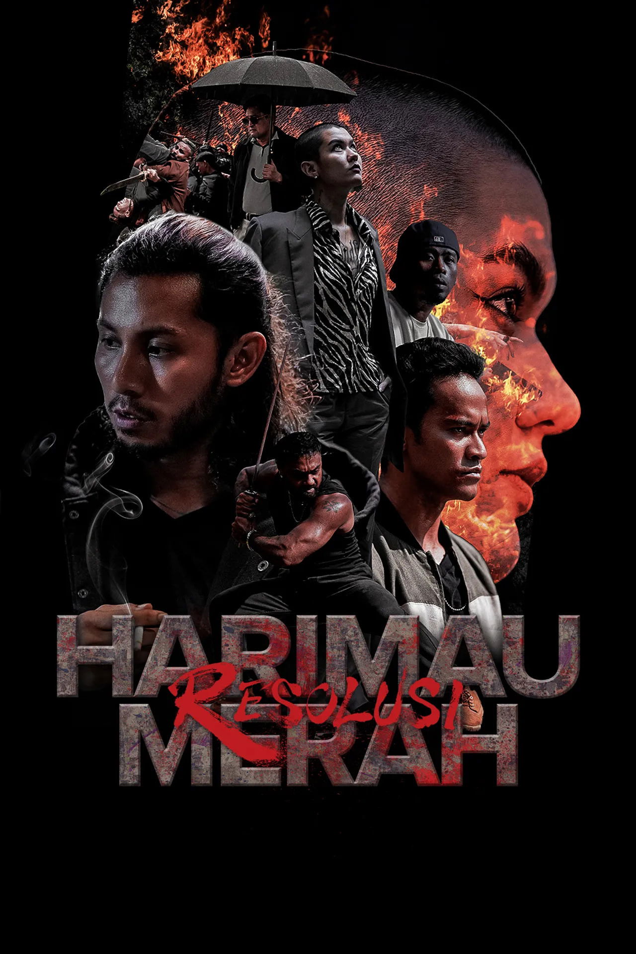 Harimau Merah: Resolusi